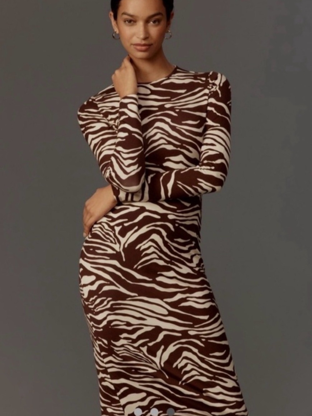 Reformation  Zebra-Print Dress